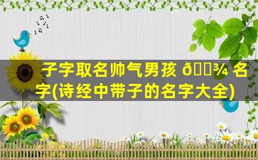 子字取名帅气男孩 🌾 名字(诗经中带子的名字大全)